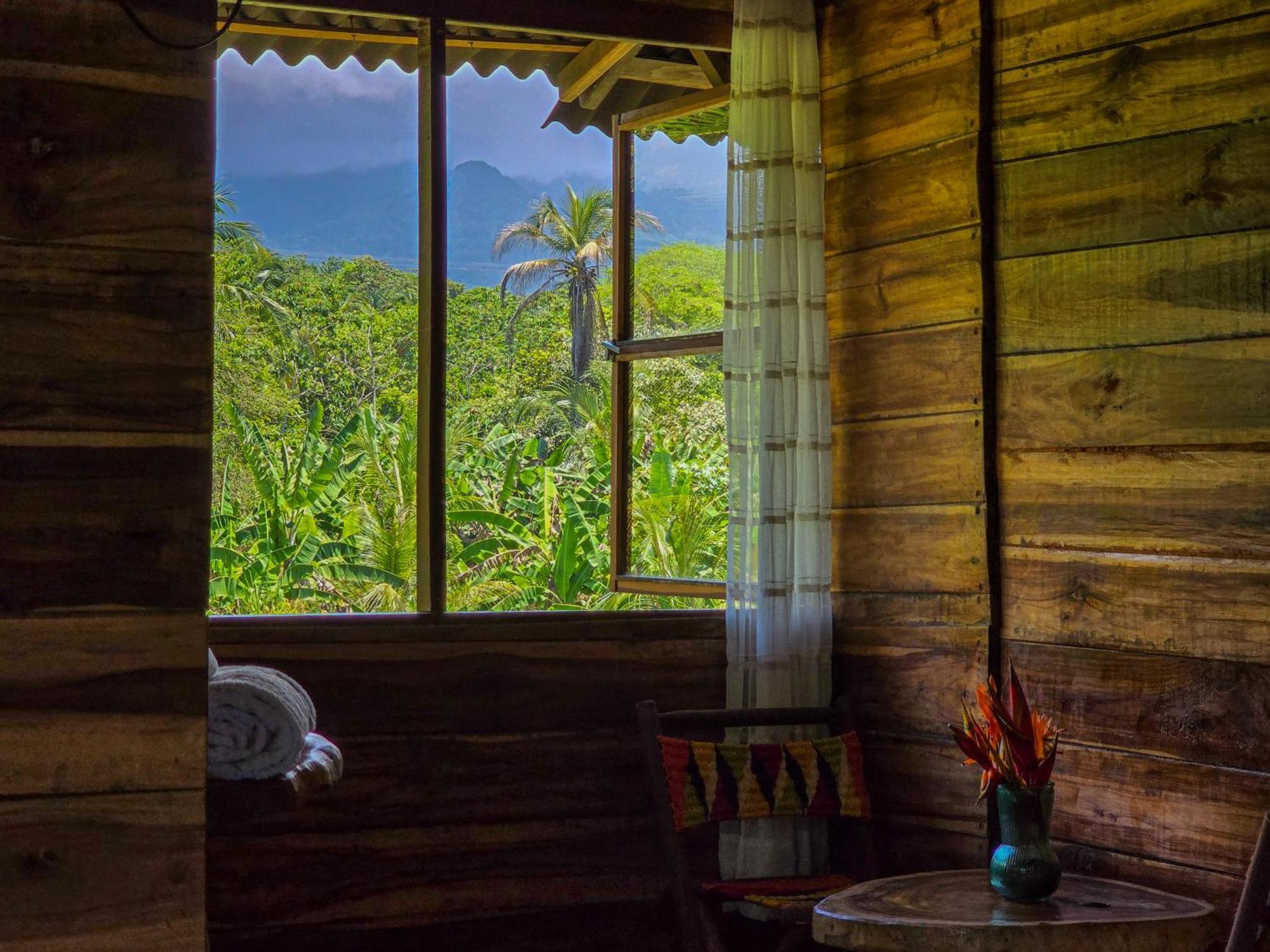 Ferienwohnung Natyva House Guachaca Zimmer foto